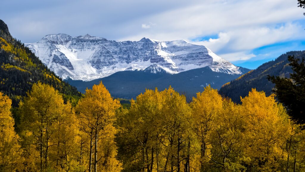 a snow covered mountain with trees and yellow leaves